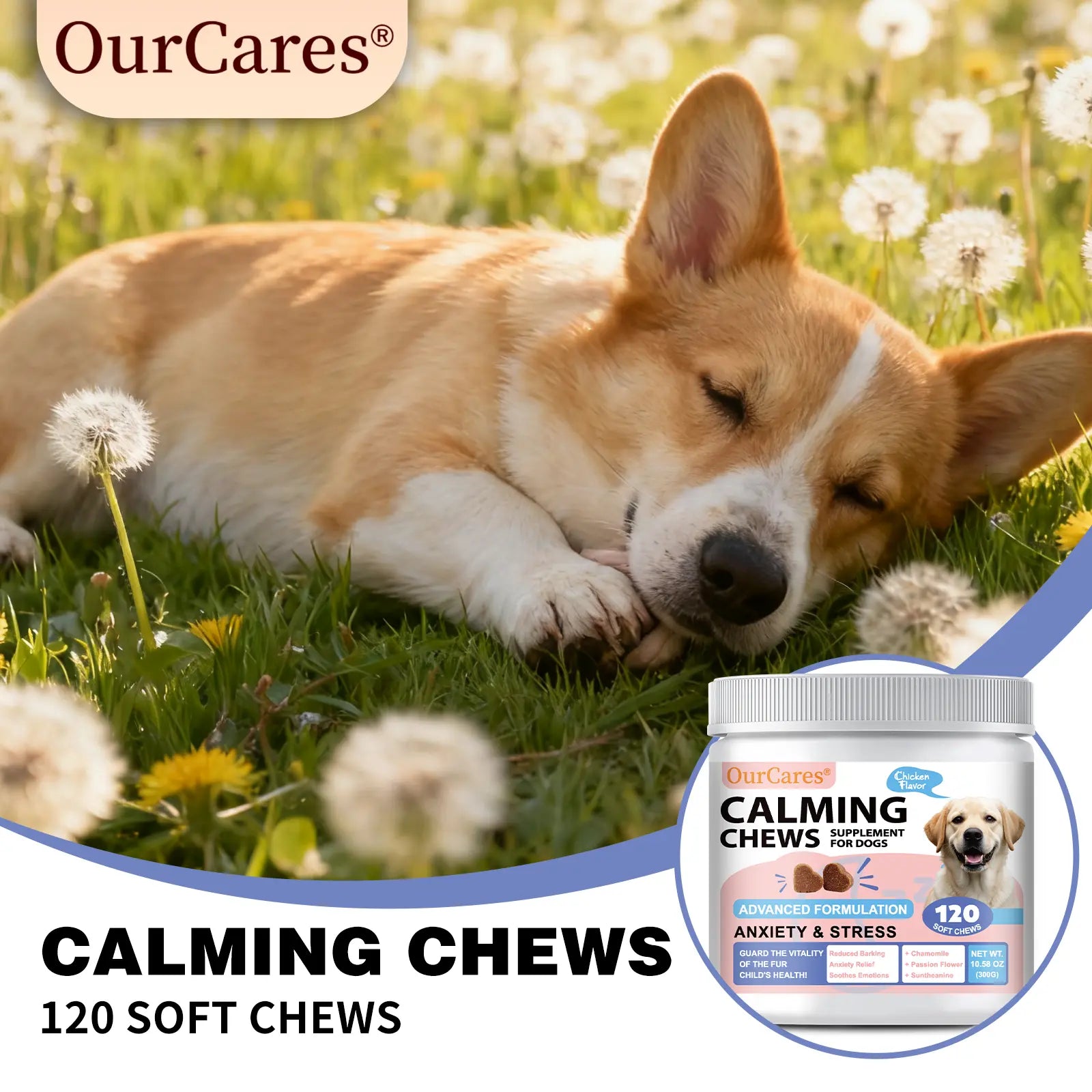 OURCARES Calming Bites for Dogs, Dog Composure & Calming Chews, Relief Soft Chew Pet Treats for Everyday Stress Support