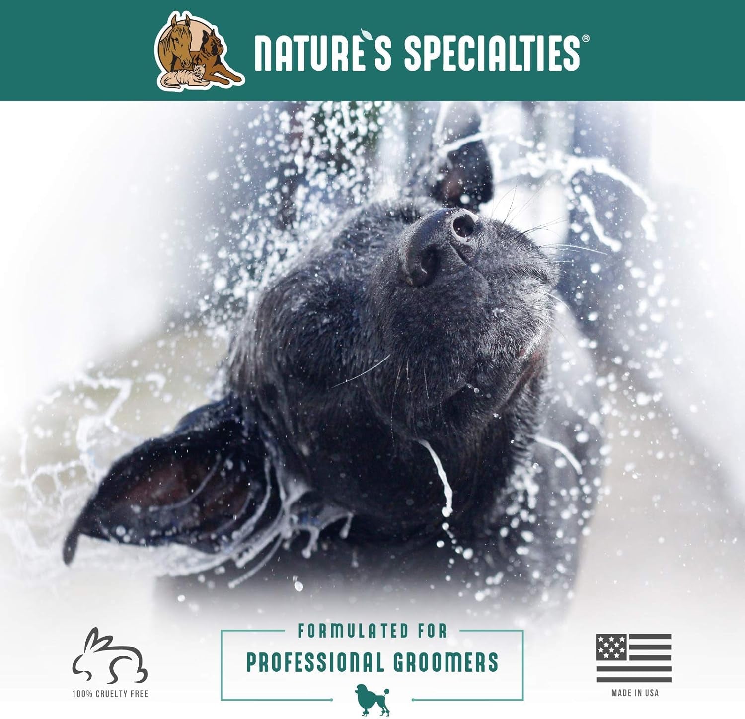 Dog Ear Cleaner Medicated Solution Non-Greasy Non-Irritation Made in USA Non-Toxic, 4 Ounces